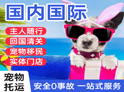 大武机场货运国际宠物托运 【国